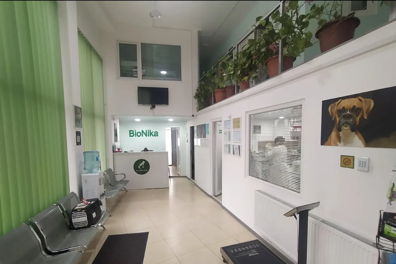 Interior of the Bionika veterinary clinic with modern treatment rooms